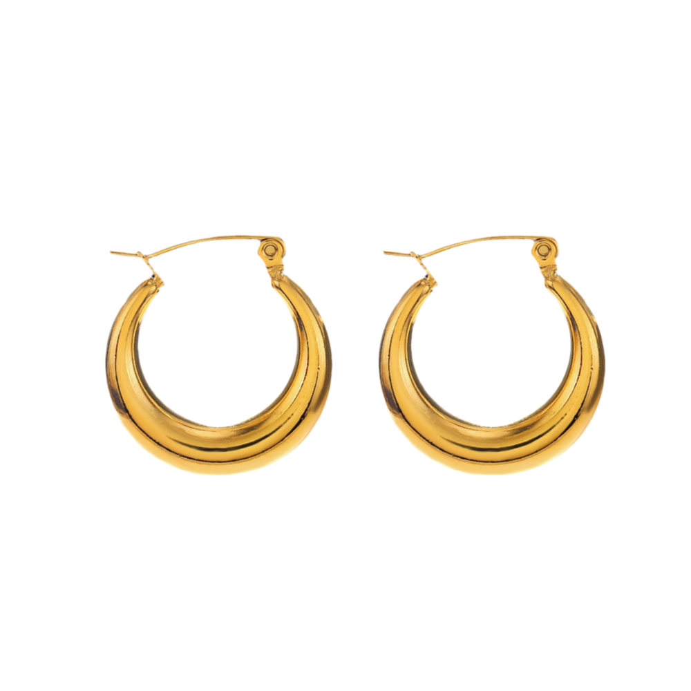 Aurelia Hoops