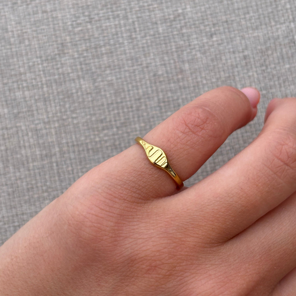 Arlo Ring