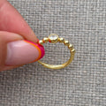 Vienne Ring