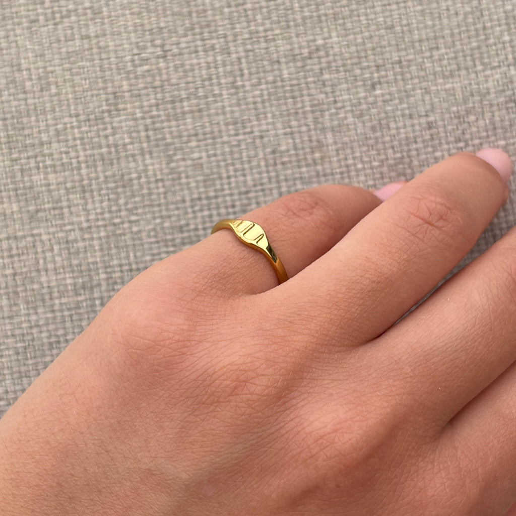 Arlo Ring